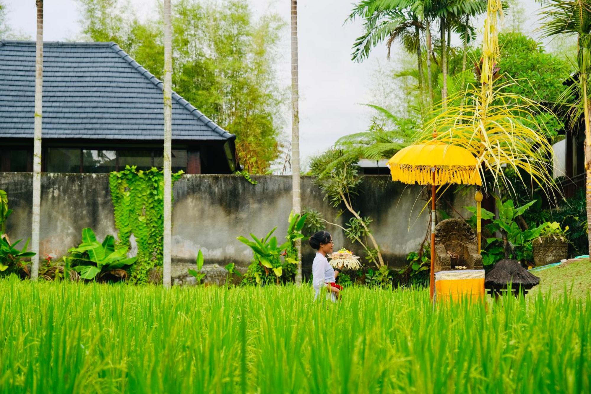Wana Karsa The Villas Ubud Exterior photo
